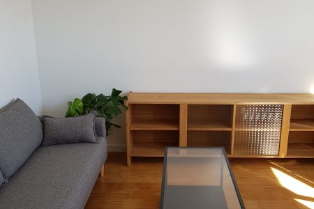 dan-stoica-renovation-travaux-12
